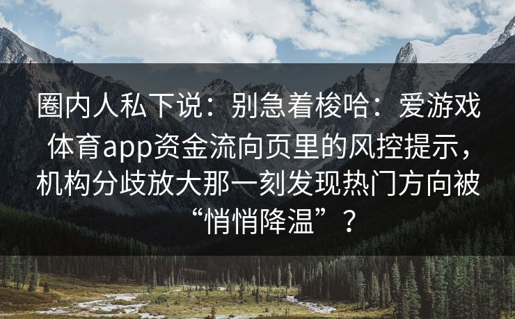 圈内人私下说：别急着梭哈：爱游戏体育app资金流向页里的风控提示，机构分歧放大那一刻发现热门方向被“悄悄降温”？